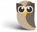Hootsuite owl